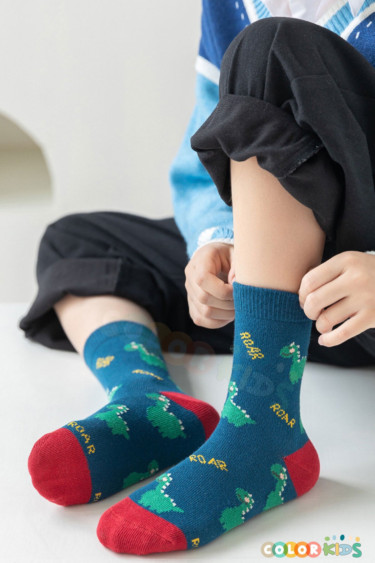 Color Socks 5 Çift Dinozor Çocuk Çorap Seti (Comfort Kids) Karışık