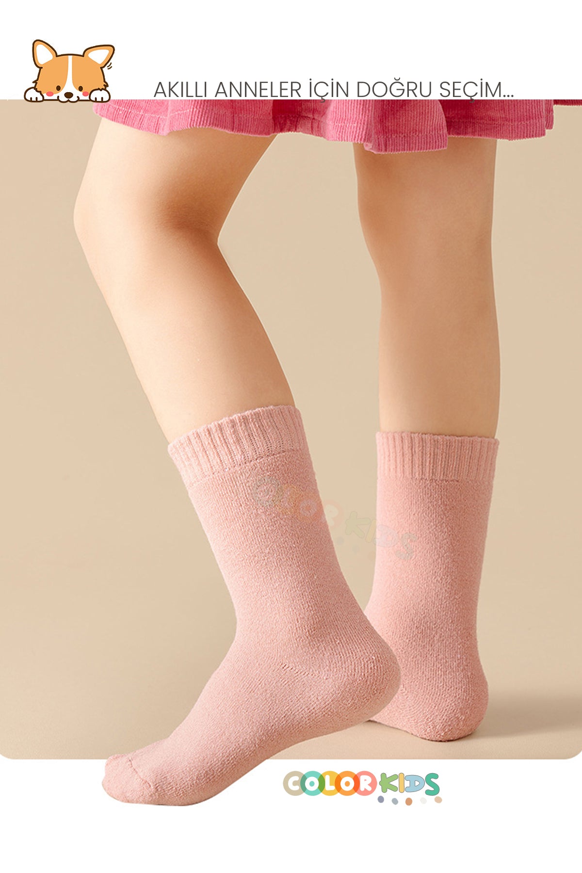 Color Socks 5 Çift Kışlık Kız Çocuk Havlu Çorap Seti (Isı Emici) Kız Renkleri