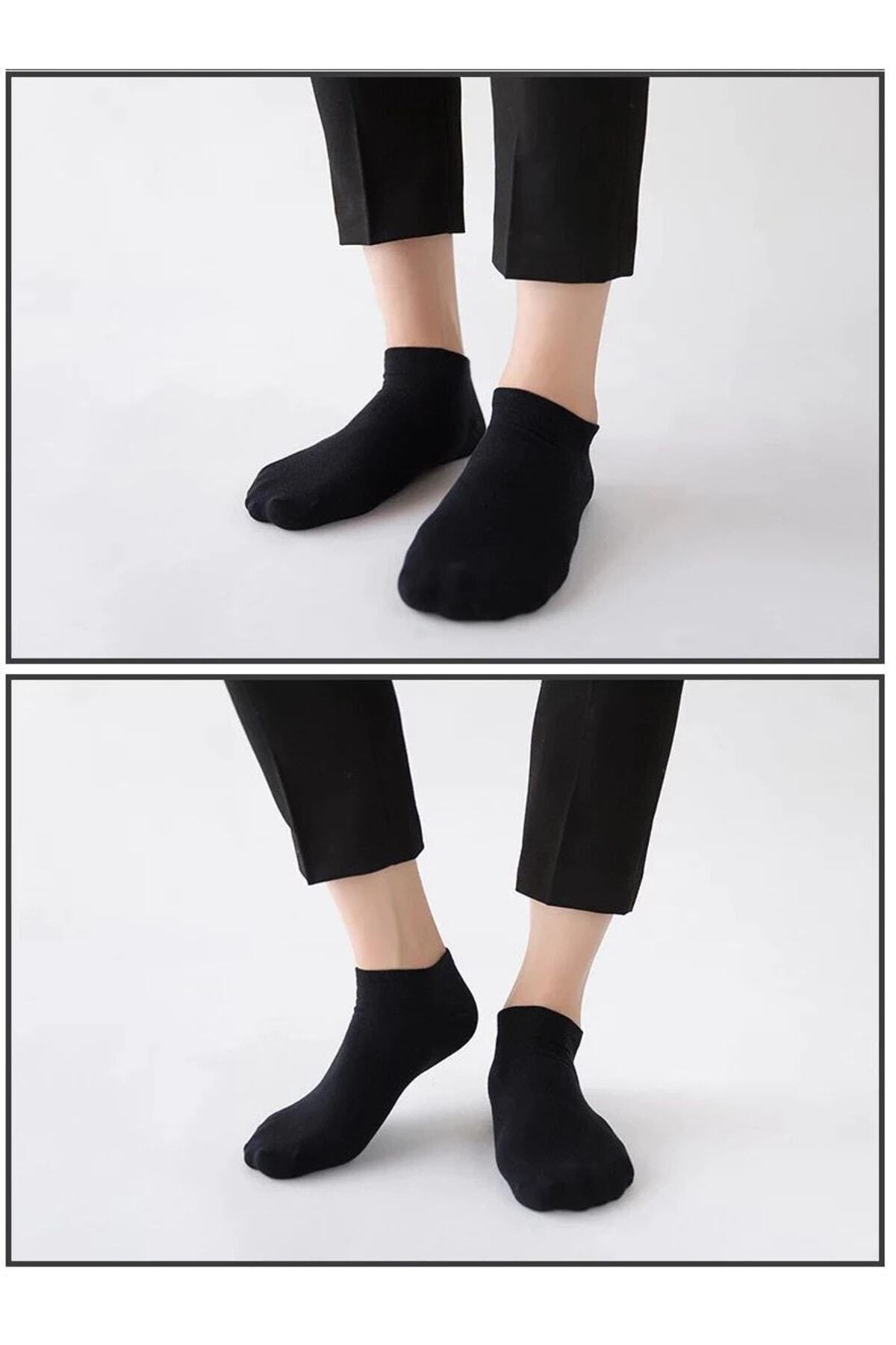 Color Socks 5 Çift Unisex Pamuklu Yazlık Patik Çorap Çok Renkli