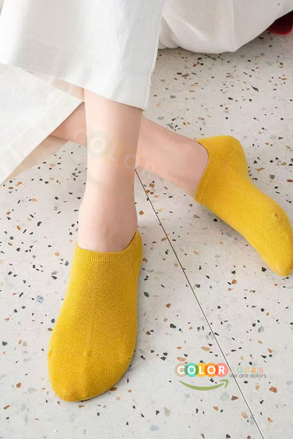 Color Socks 10 Çift Renkli Spor Ayakkabı Çorabı Pamuklu Likralı Penye Çok Renkli