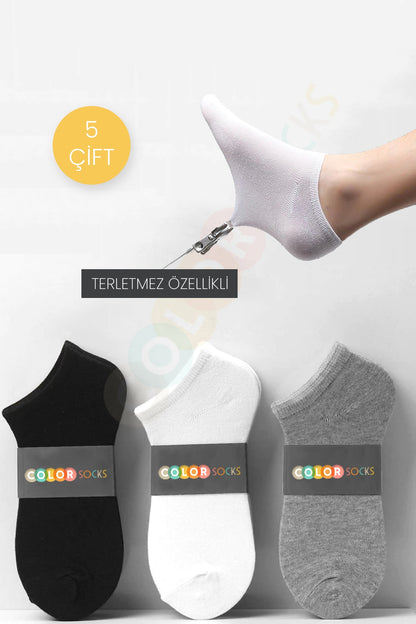 Color Socks 5 Çift Unisex Pamuklu Yazlık Patik Çorap Çok Renkli