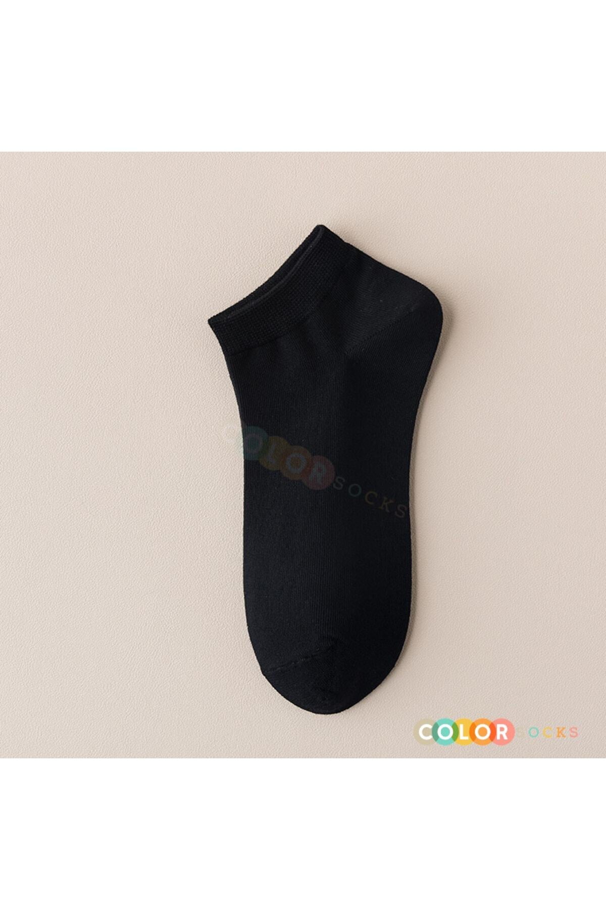 Color Socks 7 Çift Extra Comfort Kadın Patik Çorap Seti Çok Renkli