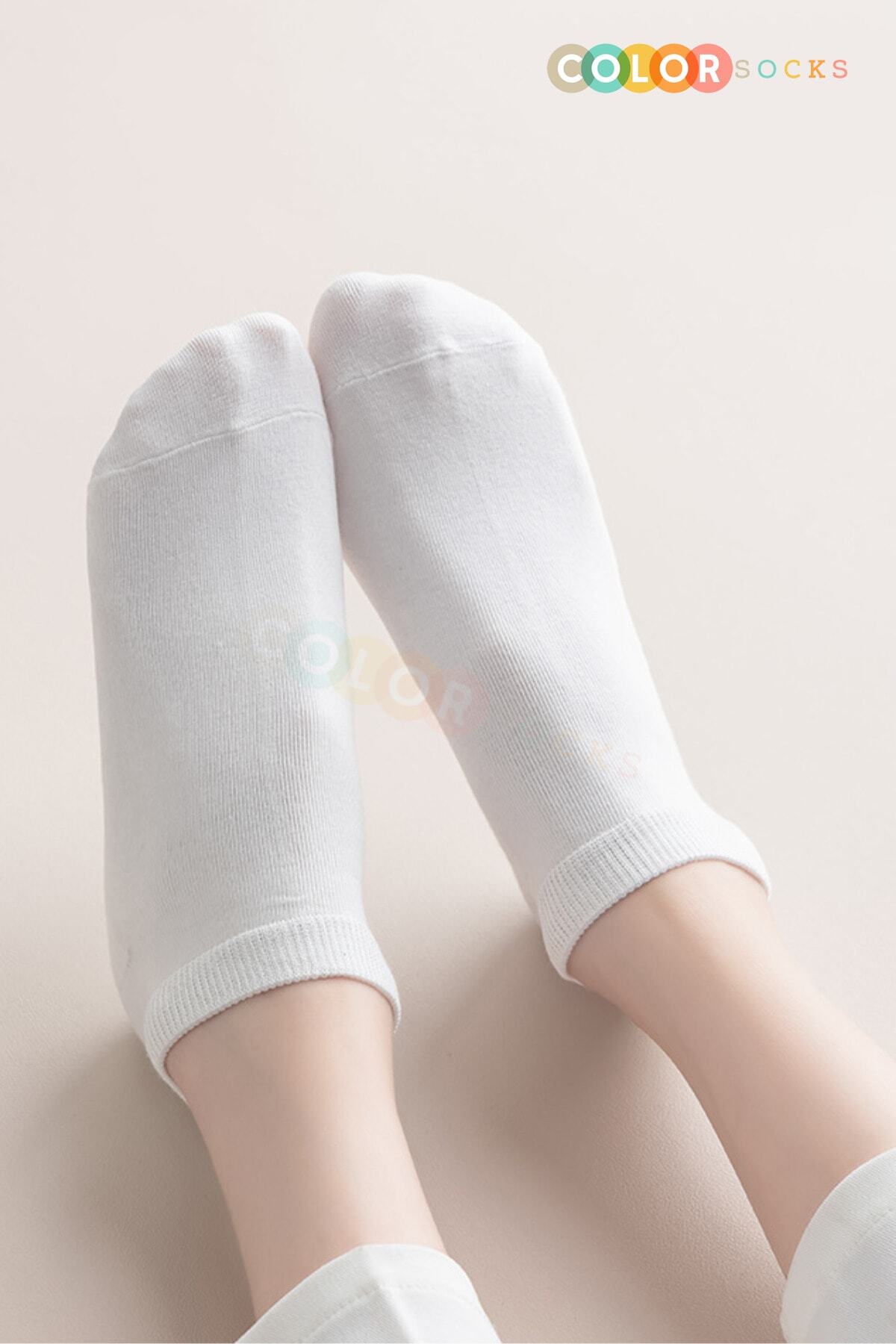 Color Socks 7 Çift Extra Comfort Kadın Patik Çorap Seti Çok Renkli