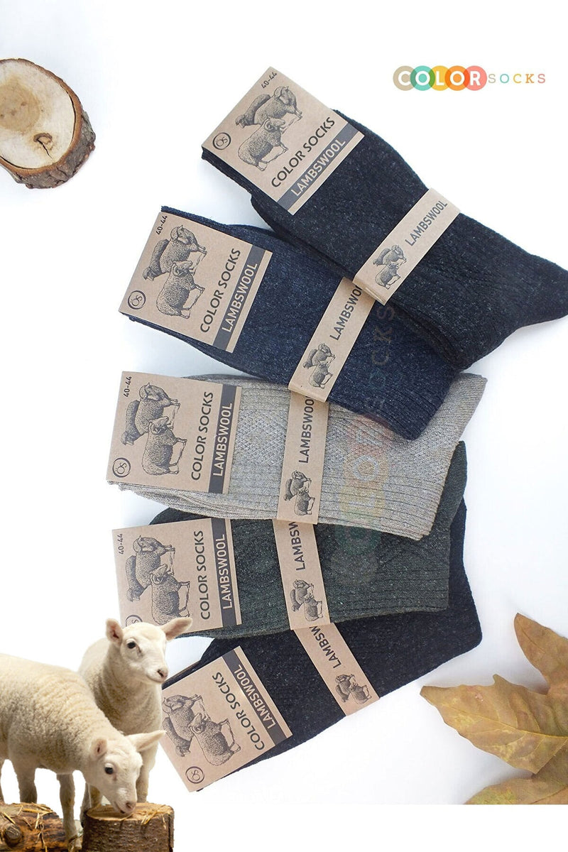 Color Socks 5 Çift Kışlık Yün Çorap Lambswool (ÖZEL KUZU YÜNLÜ) Karışık