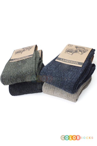 Color Socks 5 Çift Kışlık Yün Çorap Lambswool (ÖZEL KUZU YÜNLÜ) Karışık