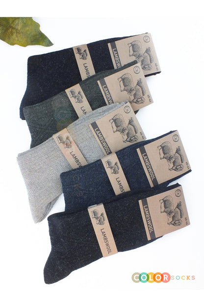 Color Socks 5 Çift Kışlık Yün Çorap Lambswool (ÖZEL KUZU YÜNLÜ) Karışık