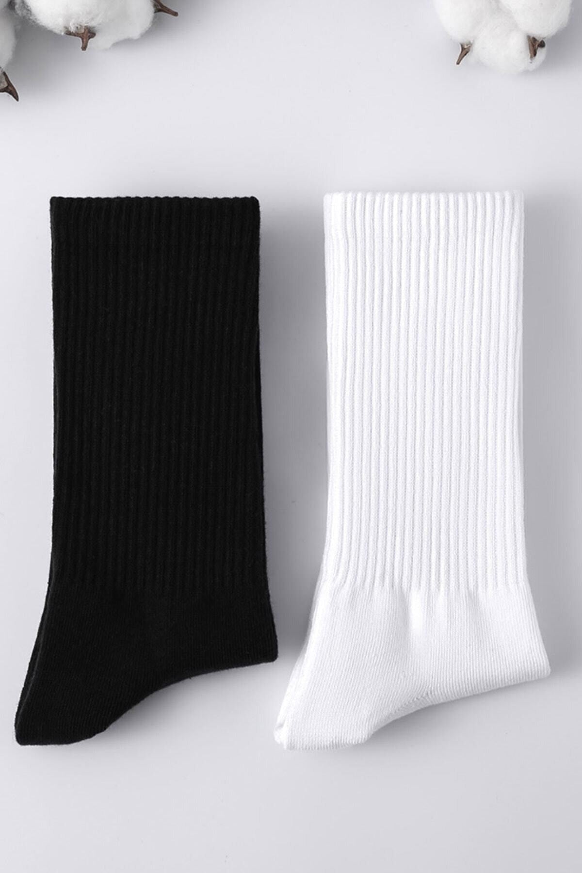 Color Socks 4 Çift Spor Atletik Çorap Seti (ANTİBAKTERİYEL) Çok Renkli