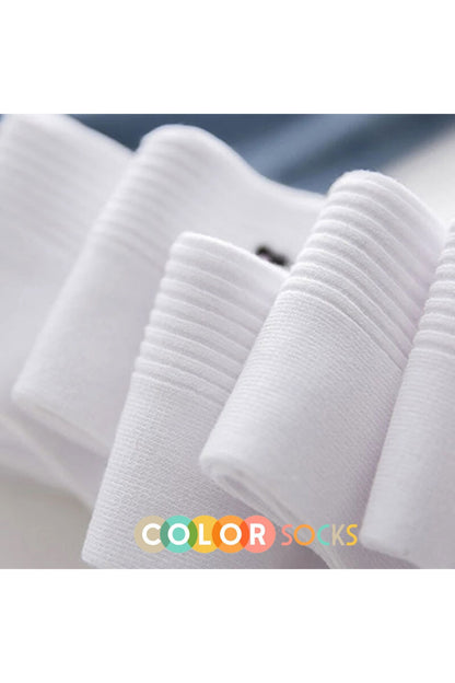 Color Socks 5 Çift Eğlenceli Kadın Çorap Set (COMFORT SOFT) Beyaz